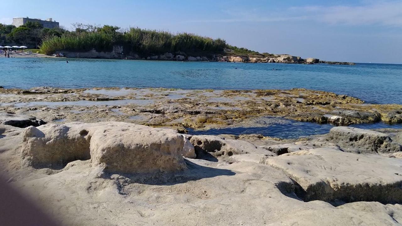 Di Angela Scotellaro Palmariggi
